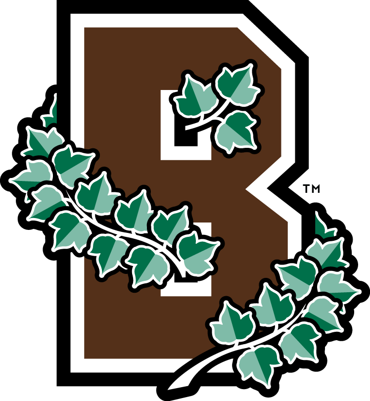 Brown Bears 2003-Pres Alternate Logo t shirts DIY iron ons